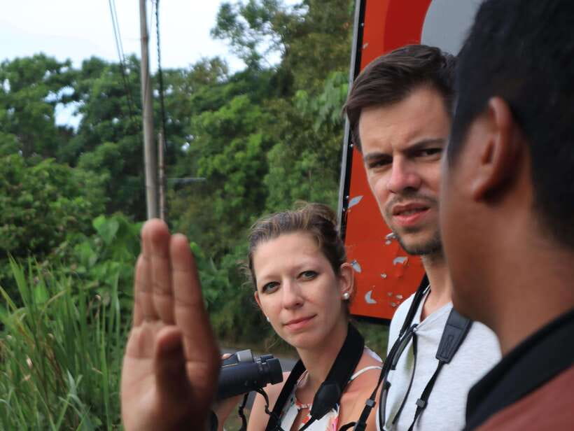 Langkawi: Nighttime Rainforest Tour with Nature Guide - Lubuk Semilang After Dark: Bats, Flying Squirrels, and Colugo Odds
