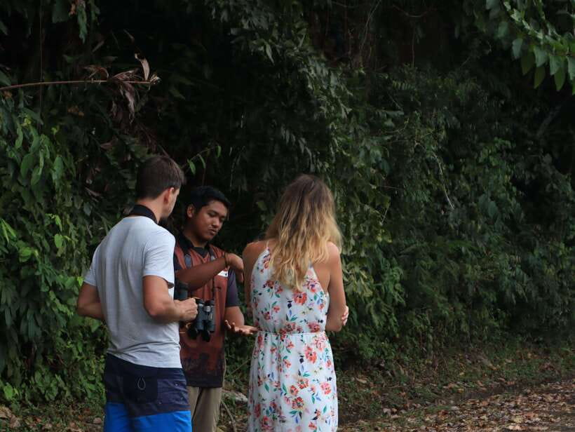 Langkawi: Nighttime Rainforest Tour with Nature Guide - Your Guide’s Job: How Explanations Improve Sightings