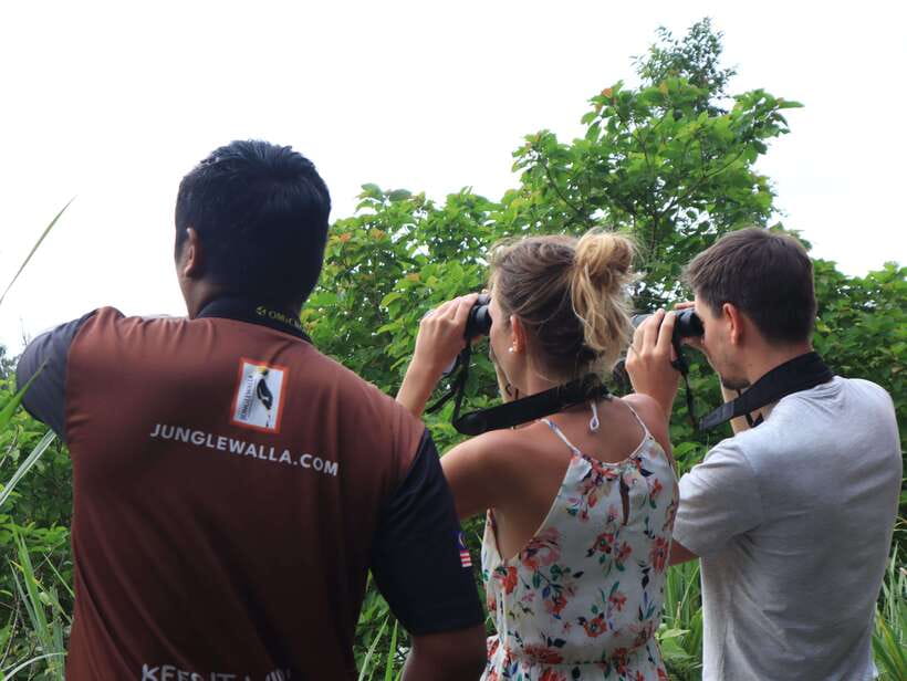 Langkawi: Nighttime Rainforest Tour with Nature Guide - Price and Value: Is $37 for 2 Hours a Good Deal?