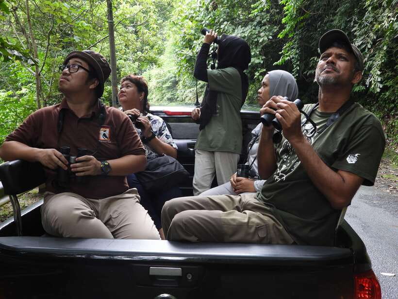Langkawi: Nighttime Rainforest Tour with Nature Guide - Should You Book This Night Rainforest Tour on Gunung Raya?