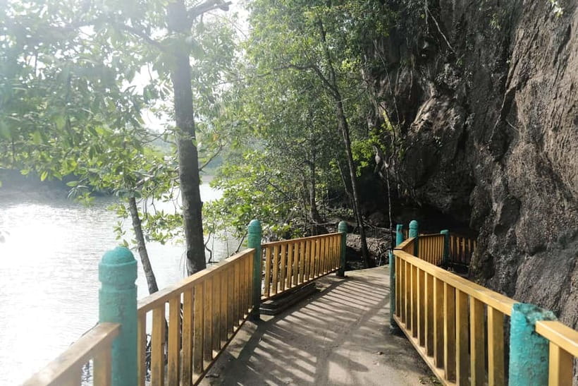Langkawi: Private 2-Hour Mangrove Tour with Hotel Transfer - Shoe Island From the Water: The Easy Langkawi Icon