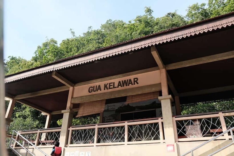 Langkawi: Private 2-Hour Mangrove Tour with Hotel Transfer - Bat Cave: Optional Entry, Small Fee, Big Personality