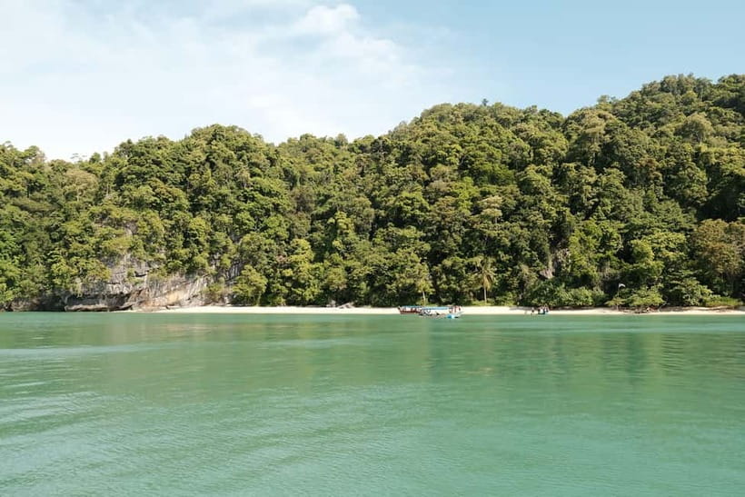 Langkawi: Private 2-Hour Mangrove Tour with Hotel Transfer - Eagle Spotting and Wildlife Explanations From the Local Guide