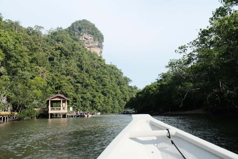 Langkawi: Private 2-Hour Mangrove Tour with Hotel Transfer - Crocodile Cave: A Visual Stop That Keeps Things Fun