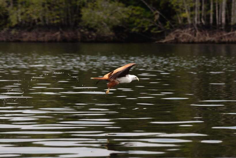 Langkawi Royal Mangrove Tour with Snorkeling Package - First Impressions at the AD Mangrove Tour Counter