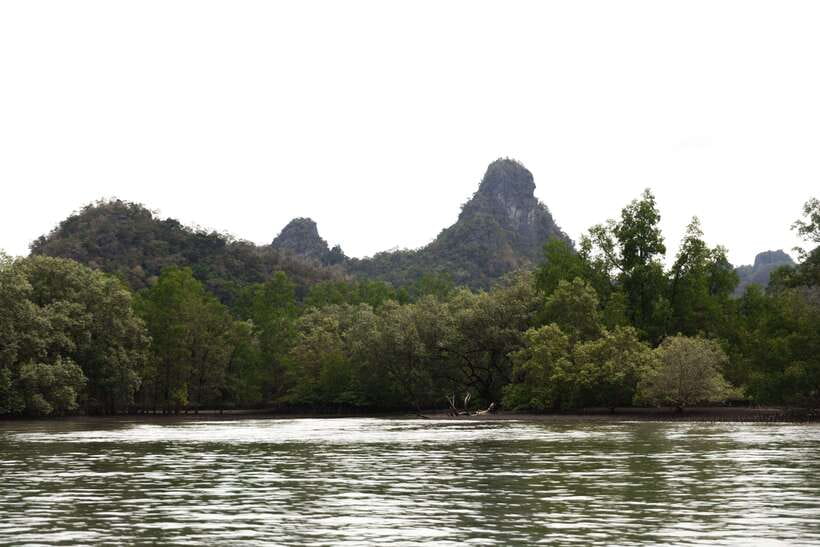 Langkawi Royal Mangrove Tour with Snorkeling Package - Bat Cave and Crocodile Cave: Close-Ups, Not Theme Parks