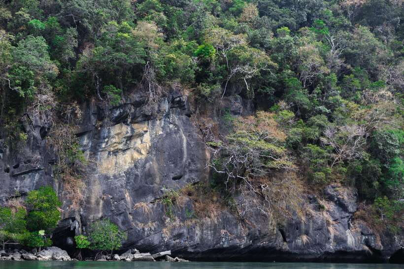 Langkawi Royal Mangrove Tour with Snorkeling Package - Who This Tour Fits Best