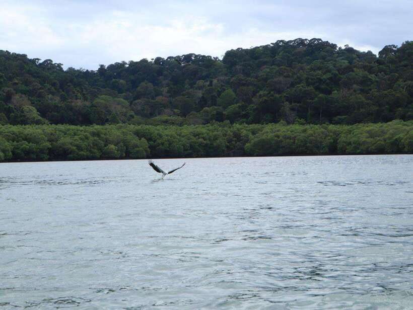 Langkawi: Southern Island Geopark Tour - Who this Southern Island Geopark tour suits best