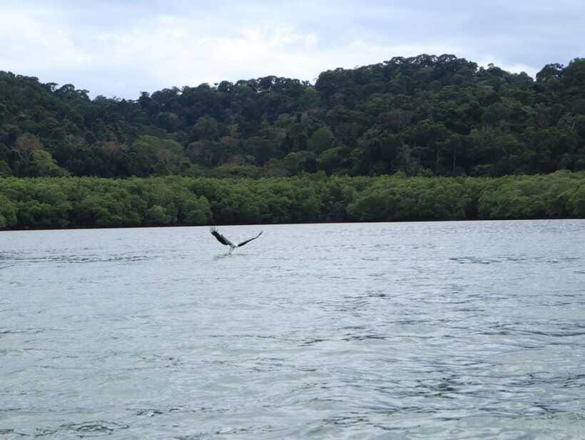Langkawi: Southern Island Geopark Tour - My booking checklist for a smooth trip