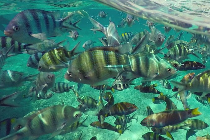 Langkawi Tour A - Land Tour & Pulau Dangli Snorkeling - Sandy Skulls Beach: a forest road to a more peaceful shoreline
