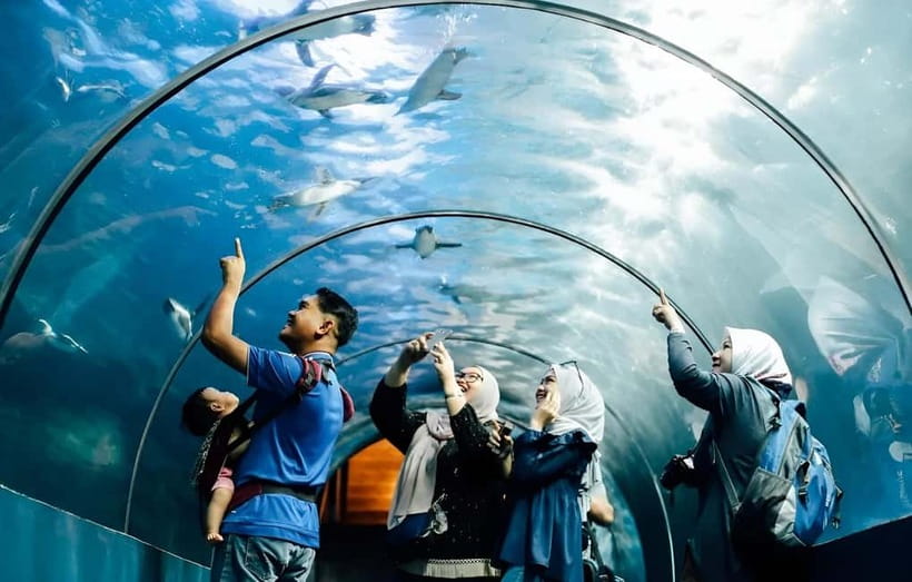 Langkawi: Underwater World Langkawi Entry Ticket - How the day flows: Marine Life, Rainforest, and Sub-Antarctic