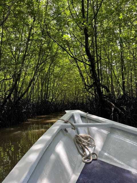 Langkawi: UNESCO Global Geopark Mangrove Cruise - Ethical wildlife watching: why the no-feeding rule matters