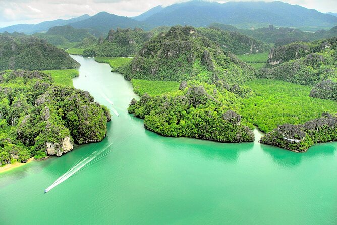 Langkawi UNESCO Kilim Geopark Mangrove & Bat Cave Tour - The Kilim River boat ride: wildlife, speed, and safety reality checks