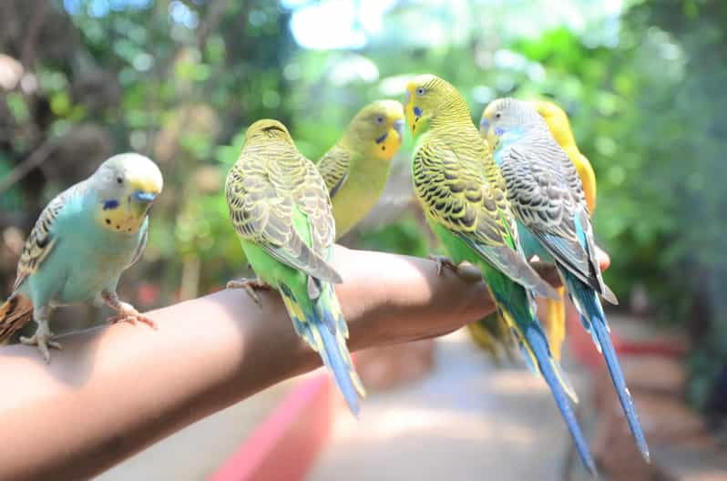 Langkawi: Wildlife Park Admission Ticket - How long you need in one day (and how to pace it)