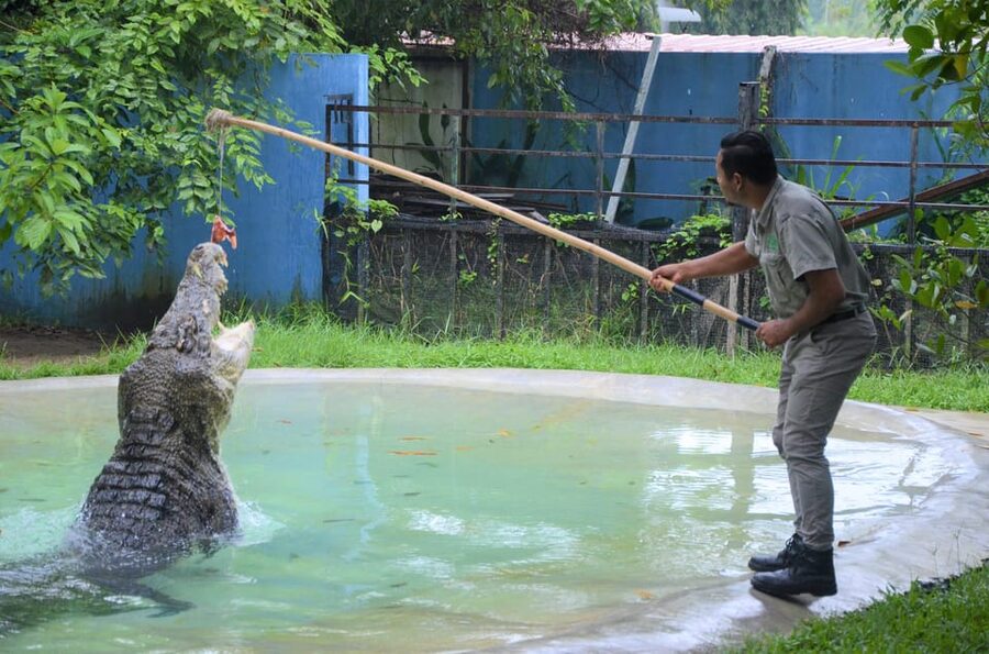 Langkawi: Wildlife Park Admission Ticket - Start in the tropical gardens, then follow the animals