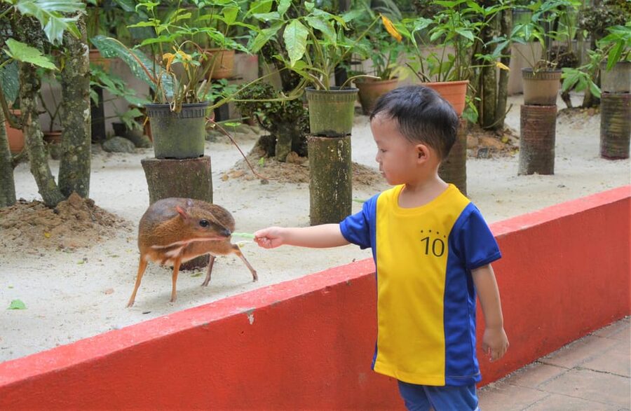 Langkawi: Wildlife Park Admission Ticket - Bird lovers, plan around the aviary with parrots and hornbills