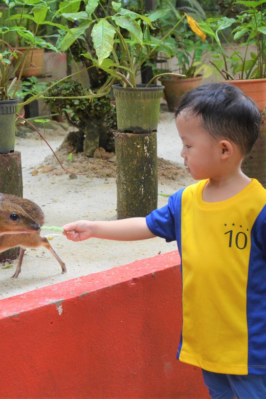 Langkawi: Wildlife Park Admission Ticket - The park’s big attractions: emus, pelicans, and koi
