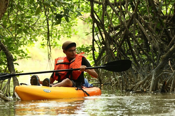 Lebam River Kayaking Adventure - Key highlights you should care about