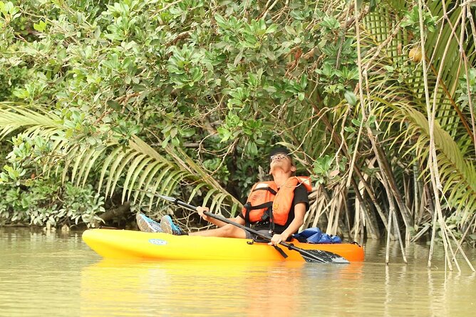 Lebam River Kayaking Adventure - Lebam River Kayaking from Desaru, the trip’s simple logic