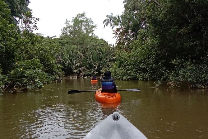Lebam River Kayaking Adventure - The safety boat rendezvous and the return ride home