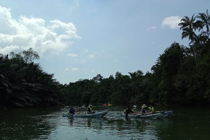 Lebam River Kayaking Adventure - Lunch time: the Firefly restaurant mention to know about