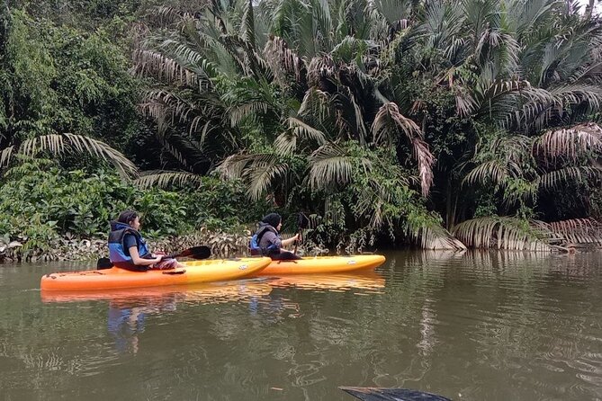 Lebam River Kayaking Adventure - From hotel pickup to Sungai Lebam, why the timing works