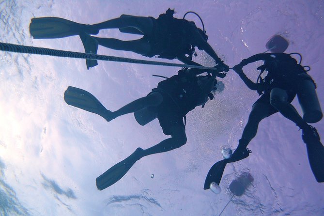 Leisure Diving | Fun Dives | 3 Dives in TARP, Kota Kinabalu - Guides Alex and Jack: The Kind of Day You Hope for