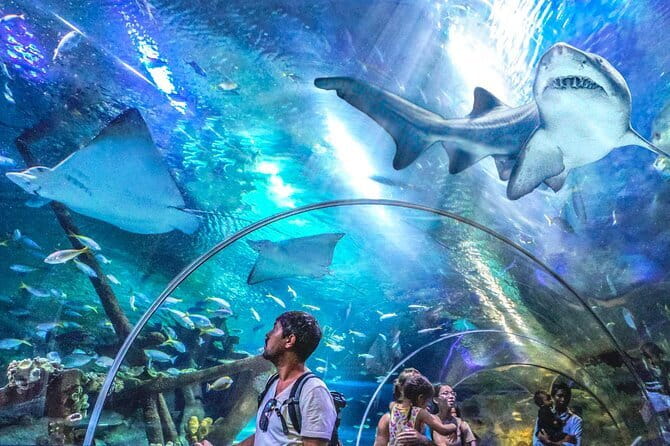 Malaysia: Aquaria KLCC Admission E-Ticket - Key things I think you will care about