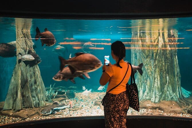 Malaysia: Aquaria KLCC Admission E-Ticket - Getting Inside: What You See First and How the Flow Works