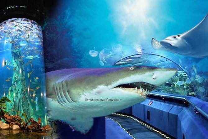 Malaysia: Aquaria KLCC Admission E-Ticket - Interactive Exhibits and Smart Timing Tips