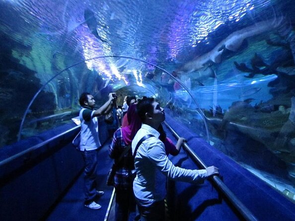 Malaysia: Aquaria KLCC Entry Ticket - Quick hits to plan your Aquaria KLCC visit