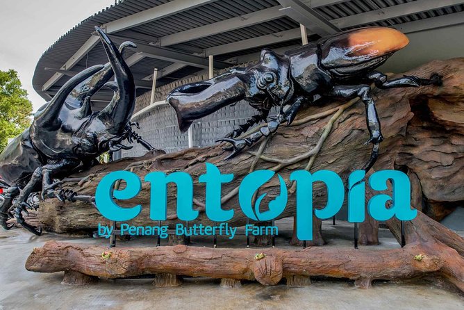 Malaysia: Discover Nature's Wonders with Entopia Entry Ticket - Butterfly Race: make spotting a game, not a task