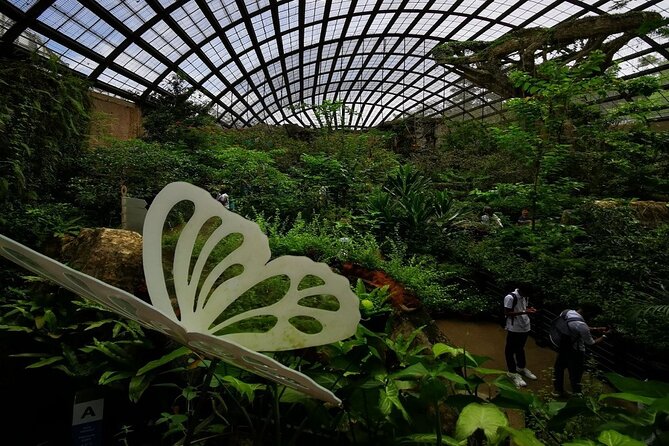 Malaysia: Discover Nature's Wonders with Entopia Entry Ticket - Price and value: $16.93 for butterflies, moths, and learning