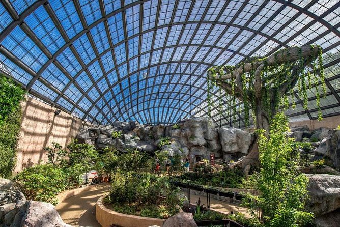 Malaysia: Discover Nature's Wonders with Entopia Entry Ticket - Entering The Natureland vivarium: where the flying begins