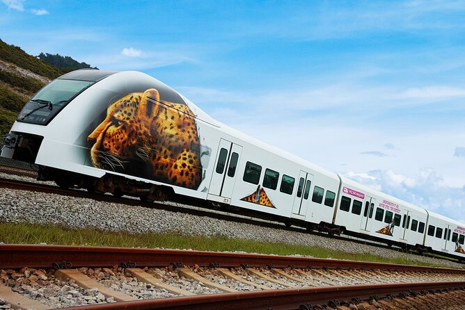 Malaysia: KLIA Ekspres Airport Train Ticket - Train Frequency, First and Last Trains, and Night Planning