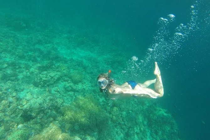 Mamutik + Sapi Island SnorkelingTrip from Kota Kinabalu - Price and Value: Is $95 Fair for What You Get?