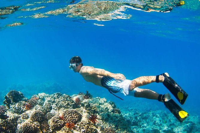 Mamutik + Sapi Island SnorkelingTrip from Kota Kinabalu - The Small Quirks I’d Watch for on the Day
