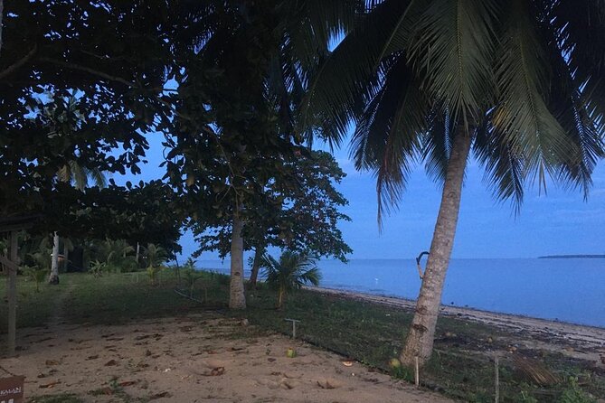 Mangrove Cruise with Fireflies Tour Including Dinner from Sandakan - A Value Tour That Treats the Evening Like a Story