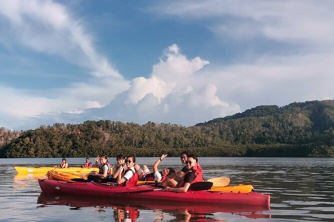 Mangrove Kayaking Experience in Borneo - Mangroves at dawn, plus that Mt Kinabalu moment