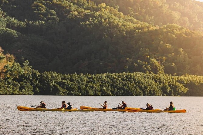 Mangrove Kayaking Experience in Borneo - The “peaceful but sporty” balance on the water