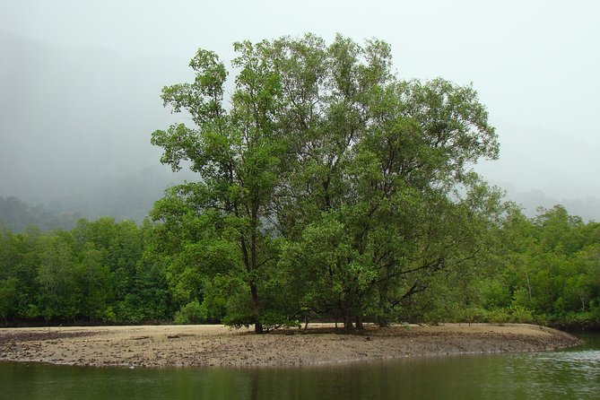 Mangrove River Cruise and Snorkeling Tour from Langkawi - 3:00 pm start, private boat flow, and real timing