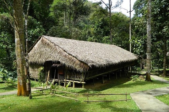 Mari-Mari Cultural Village Tour Including Lunch - The Mari-Mari Cultural Village start: Chief welcome and the suspension bridge