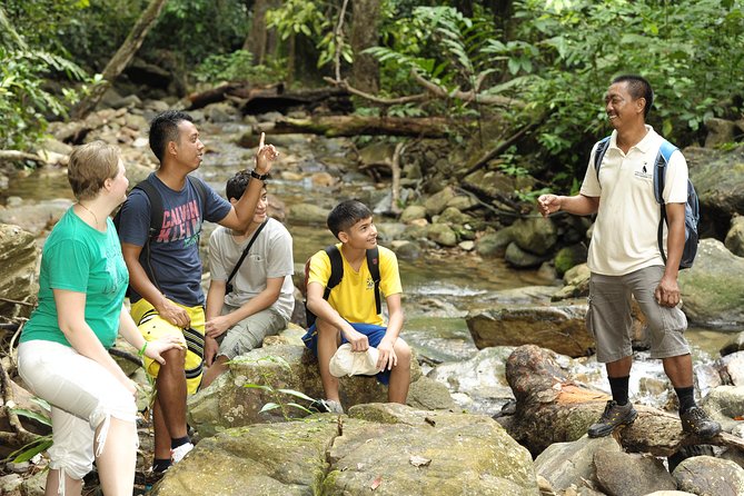 Morning Rainforest Walking from Langkawi - Key points that make this Langkawi rainforest walk worth your morning