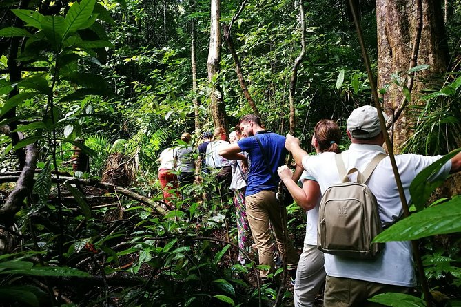 Morning Rainforest Walking from Langkawi - Price and Value: Is $39.10 a Good Deal for 2 Hours?