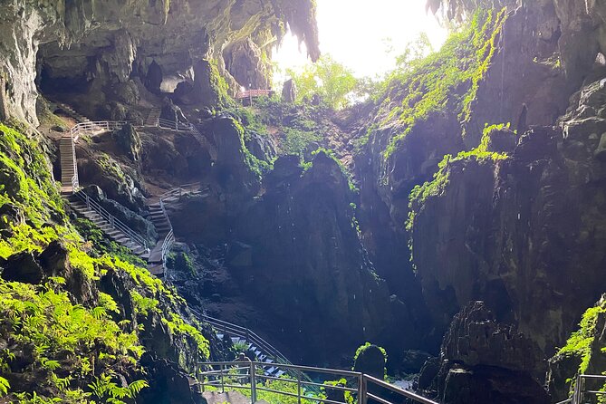 Mountain Biking Gold Mine Full-Day Tour - The Wind Cave stop: bats, swiftlets, and a real cave walk