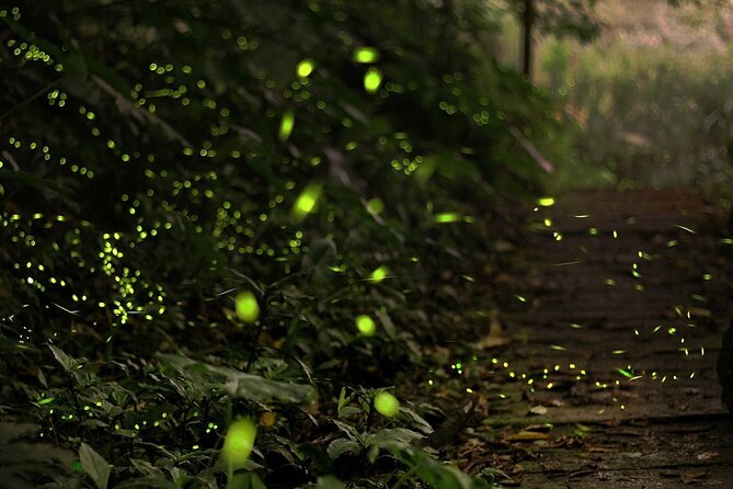 Mystical Nights: Fireflies & Blue Tears Adventure - Sri Shakti Temple: a 20-minute culture stop that sets the mood