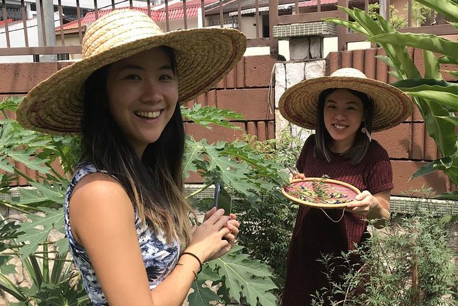 New Malaysian Kitchen Cooking Class and Garden Tour - Location outside central KL, and why it’s worth it