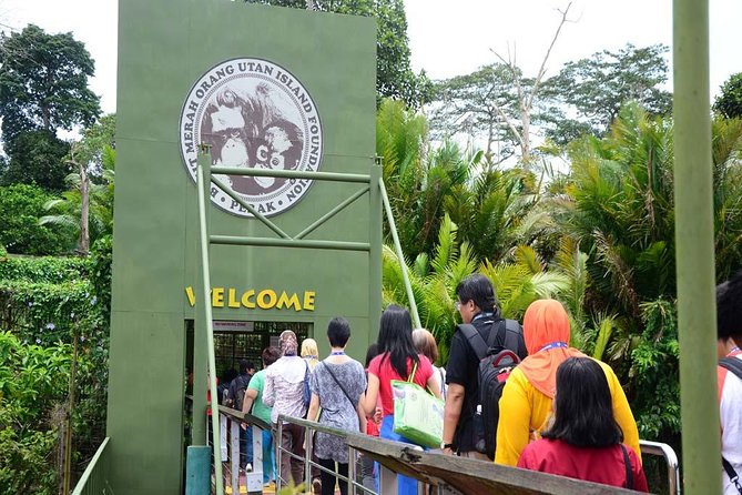 Orang Utan Island Day Tour - Should You Book This Orangutan Island Day Tour?