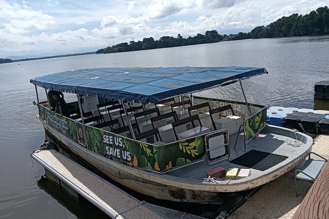 Orangutan Island, A Responsible Wildlife Sanctuary Experience - Orang Utan Island viewing: up-close behavior without being intrusive
