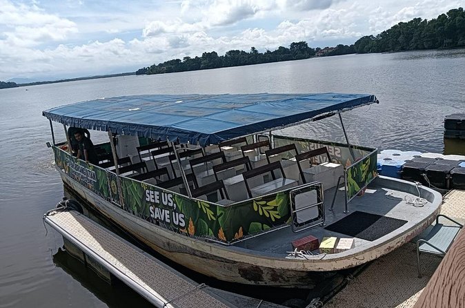 Orangutan Island, A Responsible Wildlife Sanctuary Experience - Conservation insights you can take home: rehab, rescue, and breeding efforts